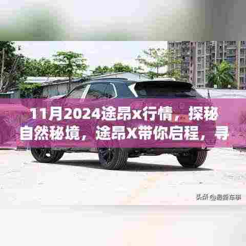 途昂X探秘自然秘境,启程寻找宁静与乐趣的十一月行情之旅