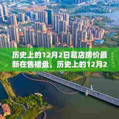 历史上的葛店房价变迁与最新楼盘深度测评,12月2日概览及在售楼盘最新资讯