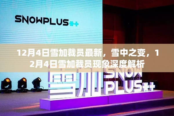 12月4日雪加裁员现象深度解析,雪中之变