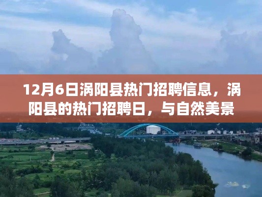 涡阳县热门招聘日,与自然美景同行,寻找内心的宁静平和之旅