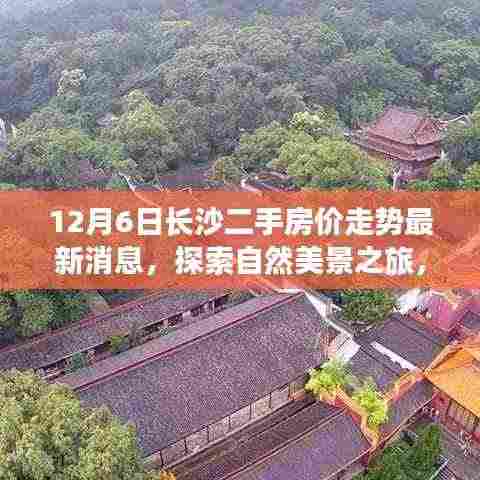 长沙二手房价走势最新动态与探索自然美景之旅,宁静背后的呼唤