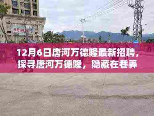 唐河万德隆最新招聘,探寻独特小店,挑战新职位!