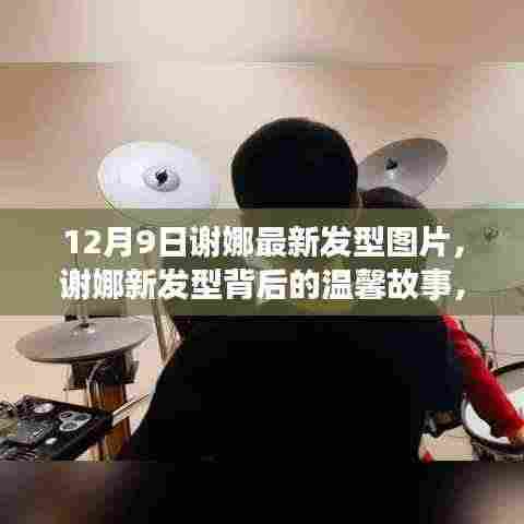 谢娜发型新篇章,温馨故事与发型之旅的温馨相遇(12月9日最新发型图片)