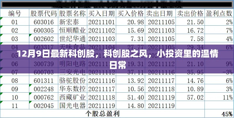 科创股之风,小投资中的温情日常(最新科创股动态)