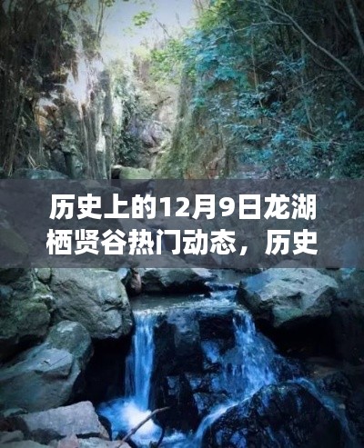 揭秘历史上的龙湖栖贤谷热门动态,12月9日回顾与展望