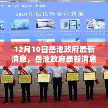 岳池政府最新消息速递,12月10日要点解析