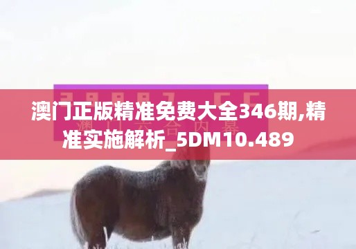 澳门正版精准免费大全346期,精准实施解析_5DM10.489