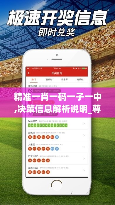 精准一肖一码一子一中,决策信息解析说明_尊贵版4.416