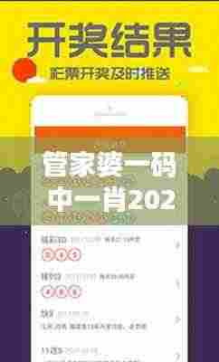 管家婆一码中一肖2024第349期:把握机会,赢得精彩