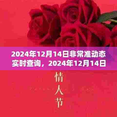 2024年12月14日实时动态精准查询系统