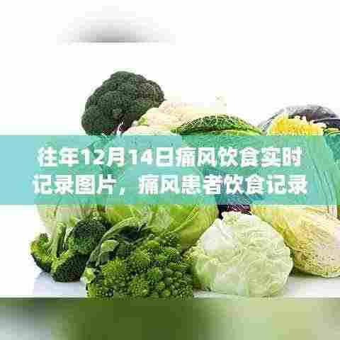 痛风患者饮食实录,往年痛风饮食实时记录图片指南与痛风患者饮食记录分享