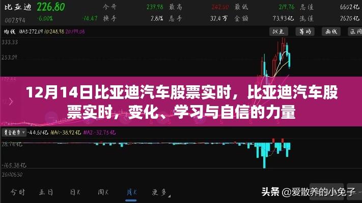 比亚迪汽车股票实时动态,变化、学习与自信的力量