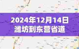 探秘潍坊至东营省道,路况速递与小巷独特风情纪实(实时更新)