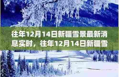 往年12月14日新疆雪景深度解析,视觉盛宴背后的影响与深思