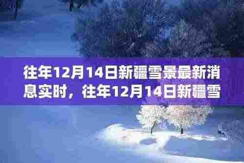 往年12月14日新疆雪景深度解析,视觉盛宴背后的影响与深思