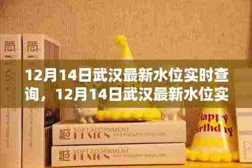 武汉最新水位实时查询系统评测与介绍,实时掌握水位动态,保障城市安全