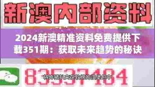 2024新澳精准资料免费提供下载351期：获取未来趋势的秘诀