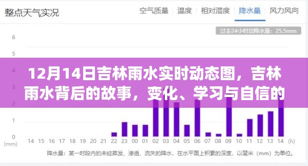 吉林雨水背后的故事,变化、学习与自信的力量——实时动态图解析