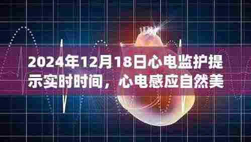 心电感应之旅,寻找内心平静的奇妙历程