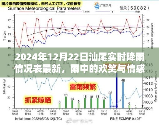 2024年12月22日汕尾降雨实况与温馨日常,雨中欢笑与情感纽带