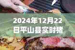 平山县特色猪肉店，探秘小巷深处的猪肉新鲜故事与实时价格（2024年12月22日）