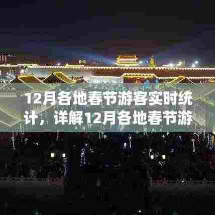 12月春节各地游客实时统计详解与步骤指南,技能进阶篇