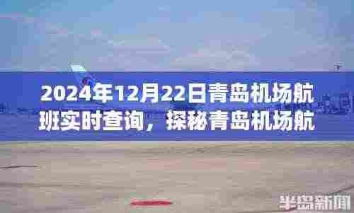 探秘青岛机场航班实时查询,小巷深处的神秘飞行驿站(实时航班查询时间,2024年12月22日)