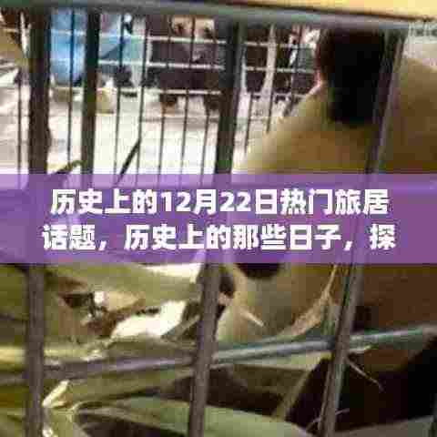 探寻历史与自然美景之旅，历史上的那些日子，温暖启程的12月22日旅居话题