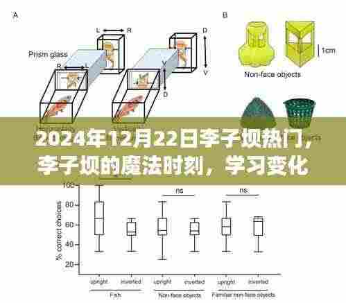 李子坝魔法时刻，变化的力量与自信种子的绽放（2024年12月22日）