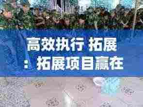 高效执行 拓展:拓展项目赢在执行