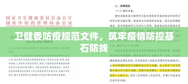 卫健委防疫规范文件,筑牢疫情防控基石防线