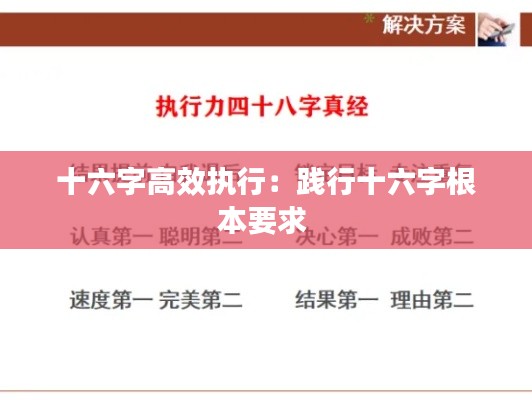 十六字高效执行：践行十六字根本要求 