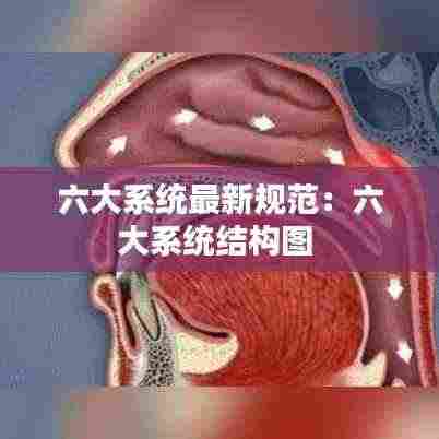 六大系统最新规范:六大系统结构图