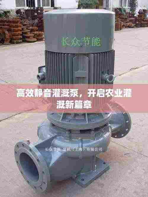 高效静音灌溉泵,开启农业灌溉新篇章