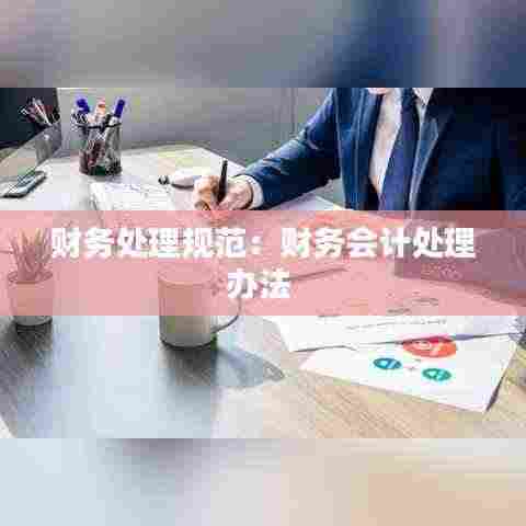 财务处理规范:财务会计处理办法
