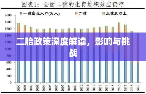 二胎政策深度解读，影响与挑战