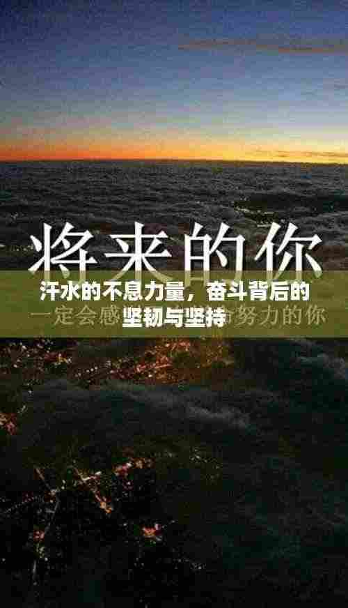 汗水的不息力量,奋斗背后的坚韧与坚持