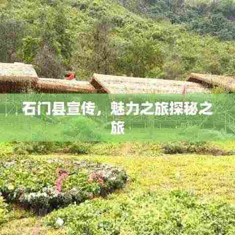 石门县宣传,魅力之旅探秘之旅