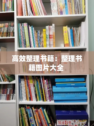 高效整理书籍:整理书籍图片大全