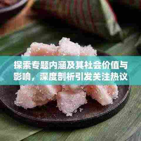 探索专题内涵及其社会价值与影响，深度剖析引发关注热议