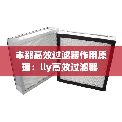 丰都高效过滤器作用原理:lly高效过滤器