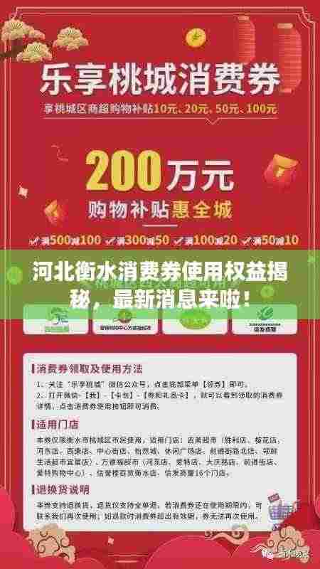 河北衡水消费券使用权益揭秘,最新消息来啦!