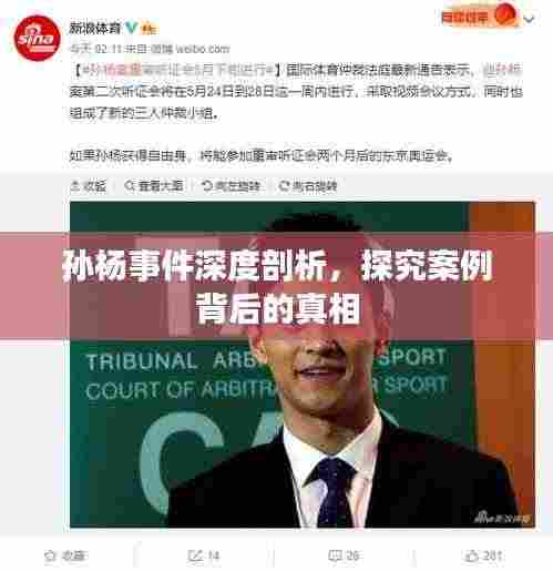 孙杨事件深度剖析，探究案例背后的真相