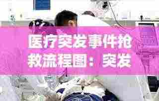 医疗突发事件抢救流程图:突发性医疗事故急救预案