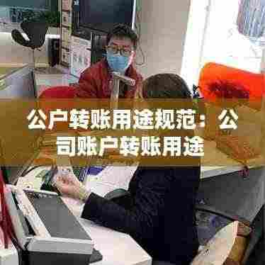 公户转账用途规范：公司账户转账用途 