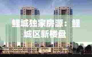 鲤城独家房源：鲤城区新楼盘 