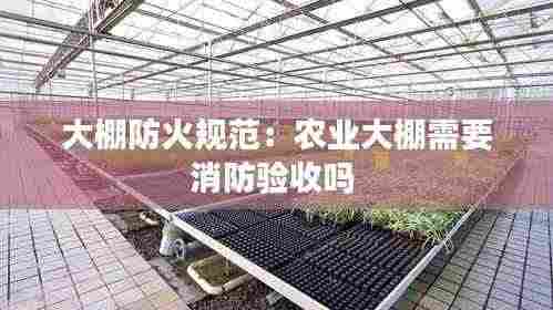大棚防火规范：农业大棚需要消防验收吗 