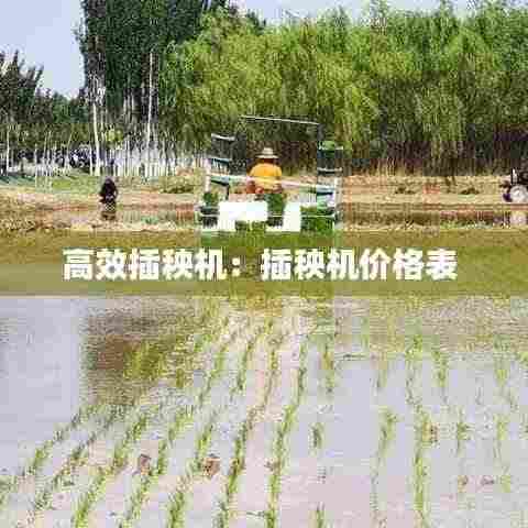 高效插秧机:插秧机价格表