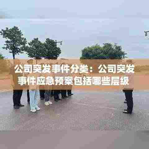 公司突发事件分类：公司突发事件应急预案包括哪些层级 