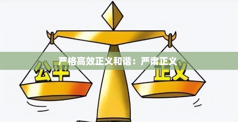 严格高效正义和谐：严肃正义 